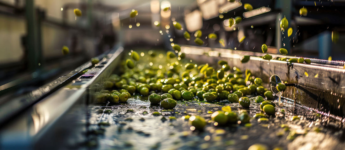 3 Truths Every Health-Conscious Buyer Should Know About Olive Oil